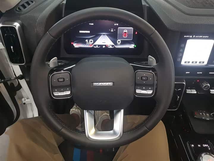 Фото 3 - Haval Dargo