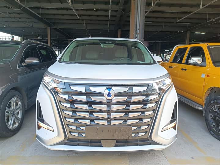 Фото 3 - Denza D9