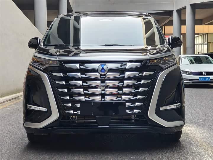 Фото 2 - Denza D9