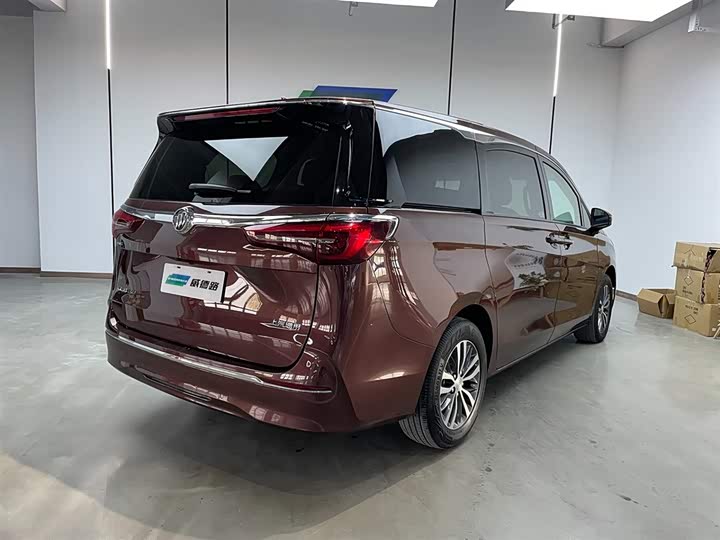 Фото 5 - Buick GL8 ES