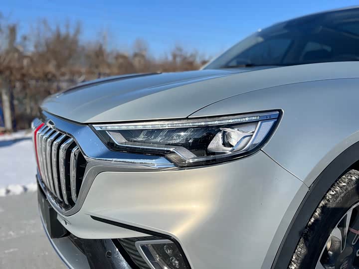 Фото 2 - Hongqi HS5