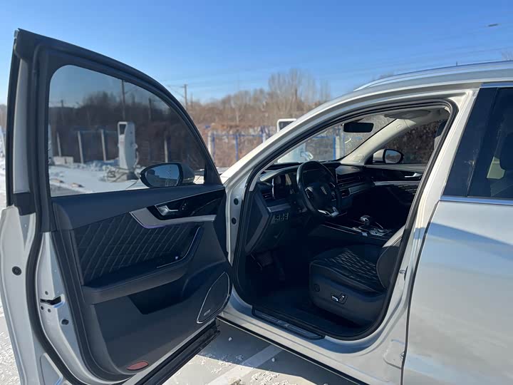 Фото 6 - Hongqi HS5