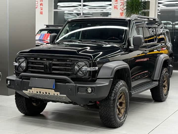 Фото 1 - Tank 300