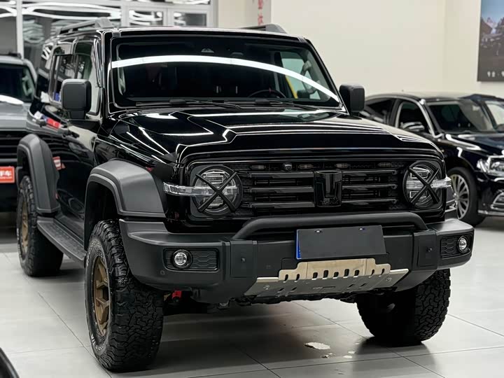 Фото 3 - Tank 300