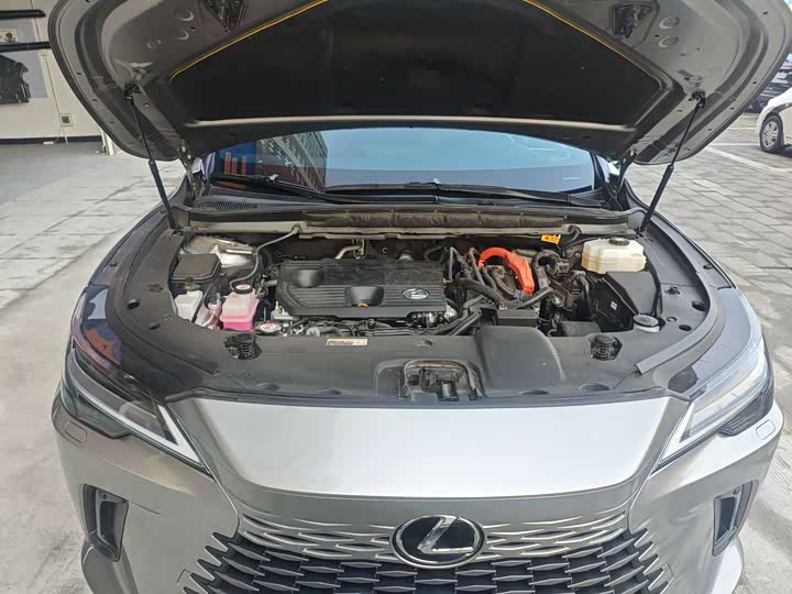 Фото 7 - Lexus RX