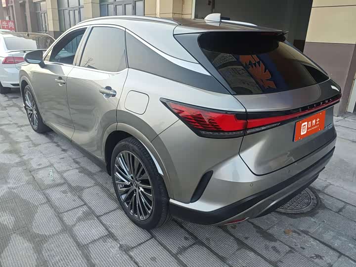 Фото 9 - Lexus RX