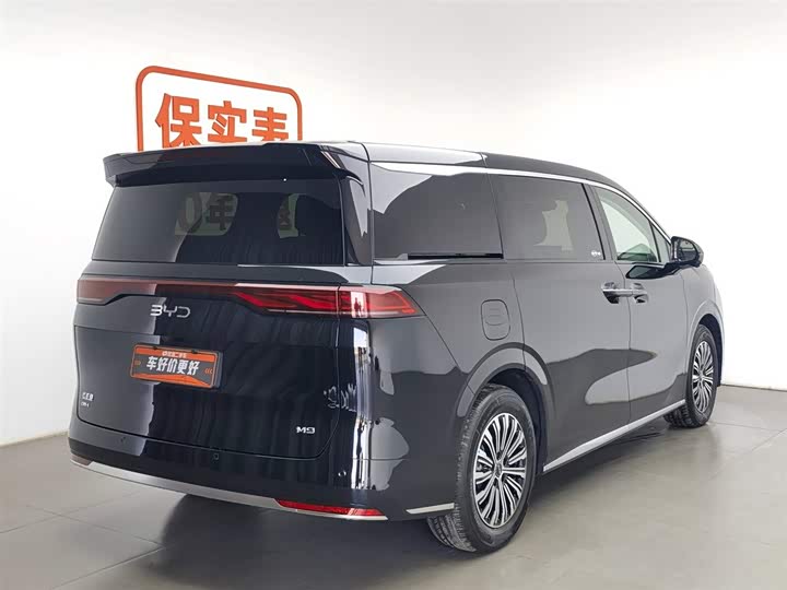 Фото 2 - BYD M9