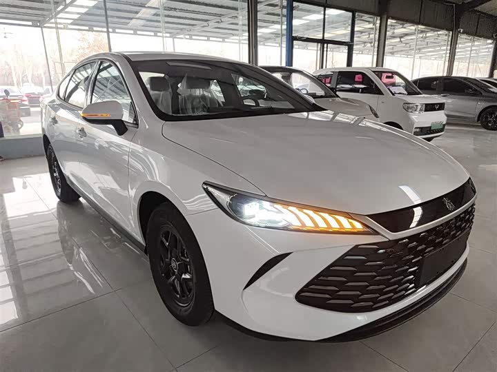 Фото 4 - BYD Qin Plus
