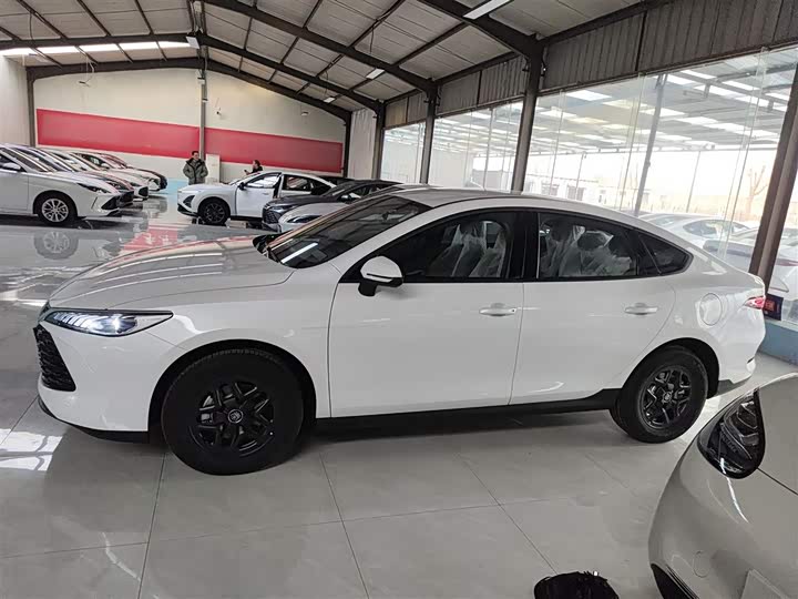 Фото 5 - BYD Qin Plus