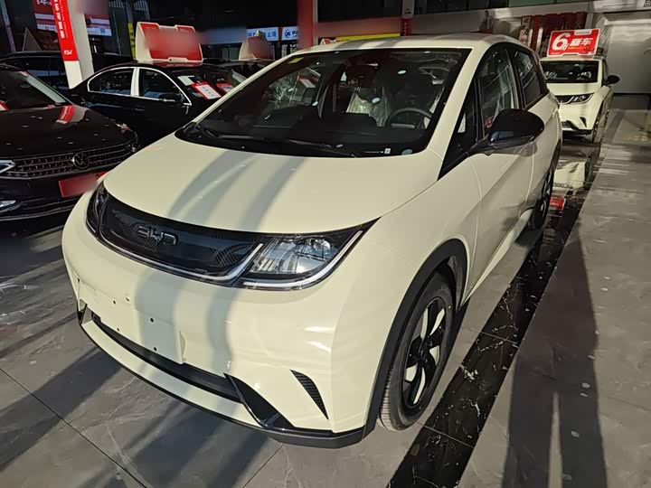 Фото 2 - BYD Dolphin