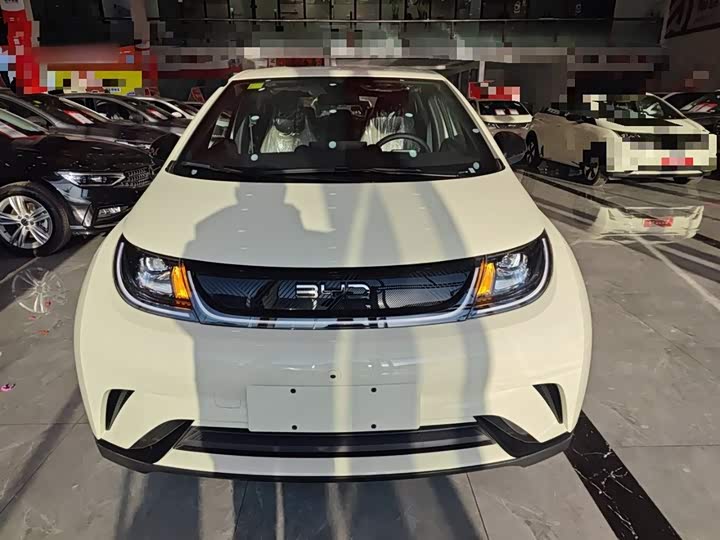 Фото 3 - BYD Dolphin