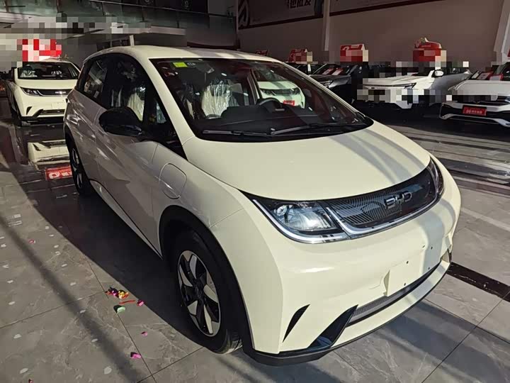 Фото 4 - BYD Dolphin