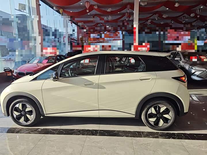 Фото 5 - BYD Dolphin