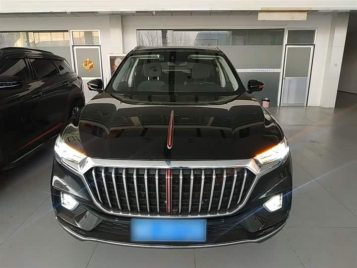Фото 3 - Hongqi HS5
