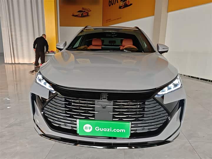 Фото 3 - BYD Tang Hybrid/EV