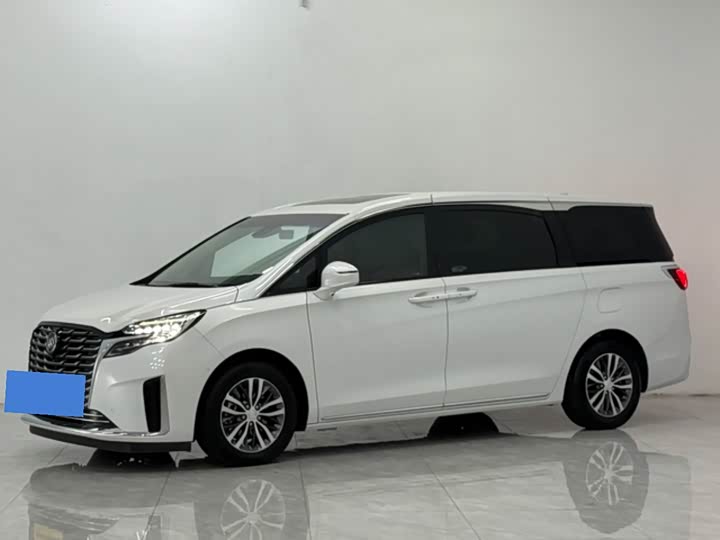 Фото 1 - Buick GL8 ES