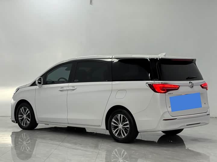 Фото 3 - Buick GL8 ES