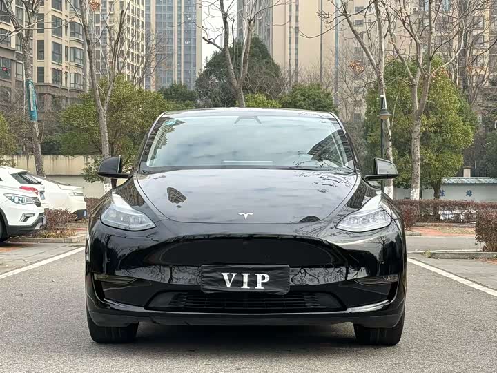 Фото 2 - Tesla Model Y