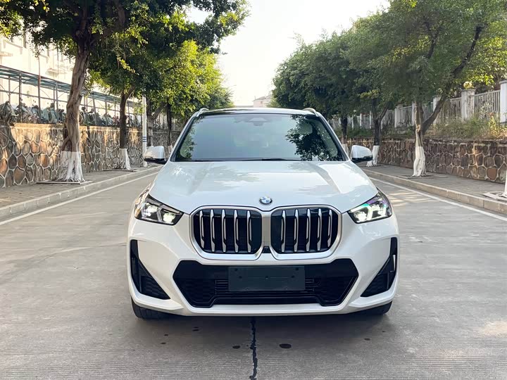 Фото 2 - BMW X1