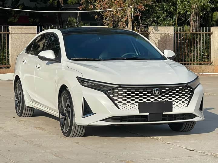 Фото 1 - Changan Raeton Plus