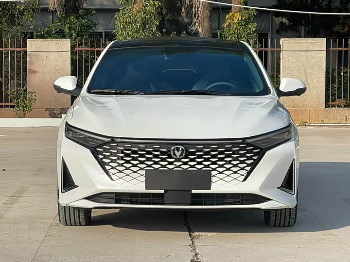 Фото 2 - Changan Raeton Plus