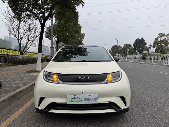 Фото 1 - BYD Dolphin