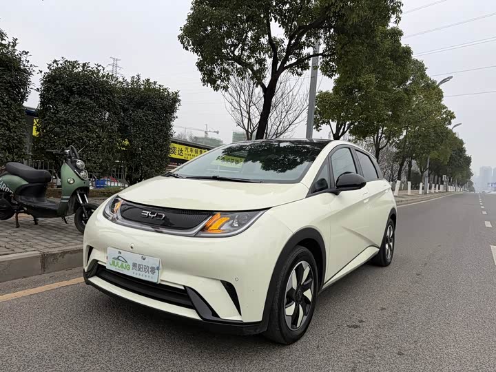 Фото 2 - BYD Dolphin