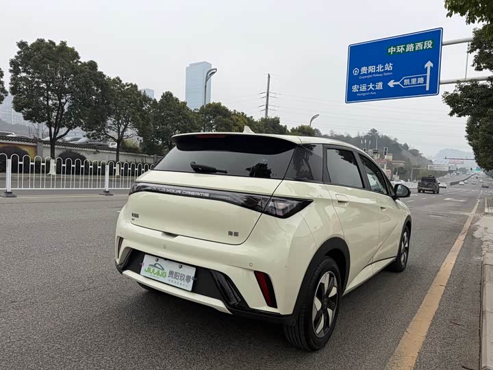 Фото 4 - BYD Dolphin