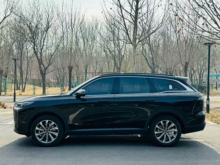 Фото 3 - Chery Fulwin T9