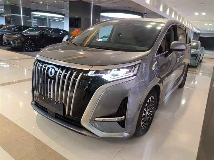 Фото 2 - Denza D9