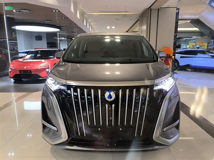 Фото 3 - Denza D9