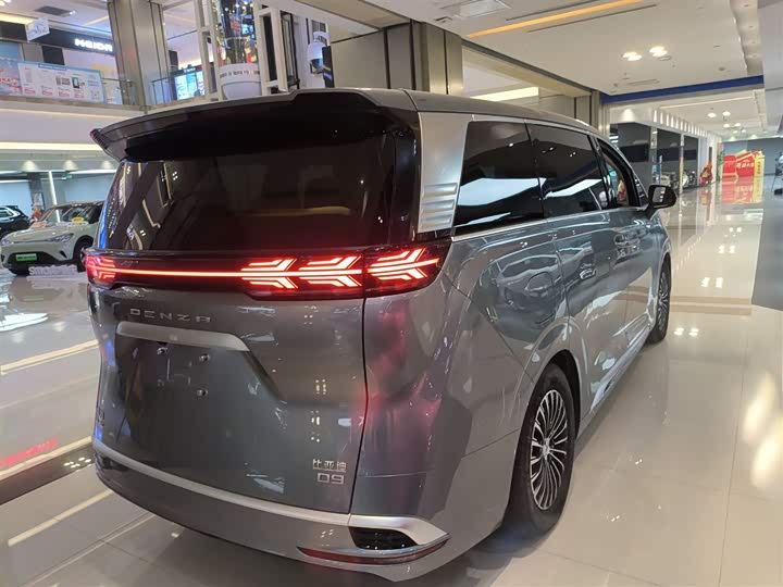 Фото 7 - Denza D9