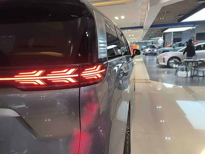 Фото 8 - Denza D9