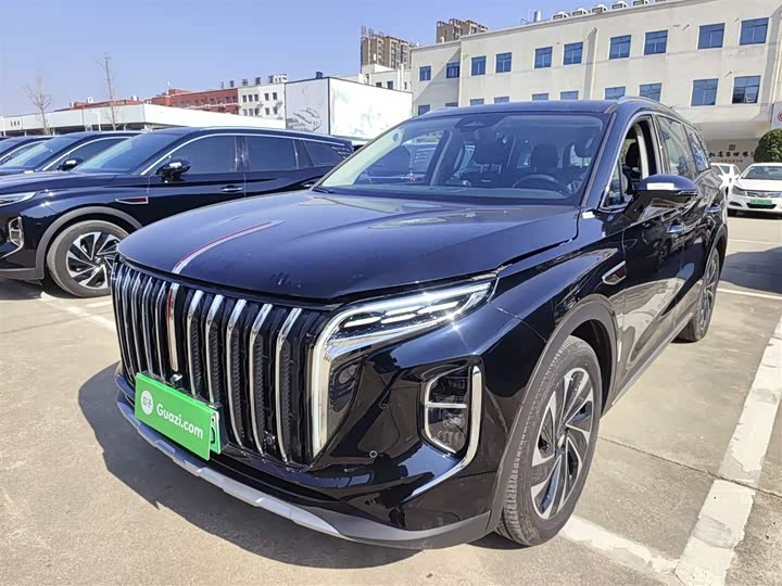 Фото 2 - Hongqi HS7 Hybrid