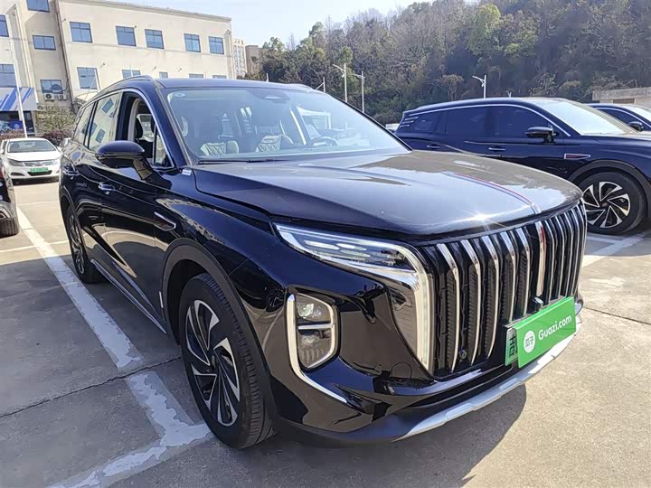 Фото 4 - Hongqi HS7 Hybrid
