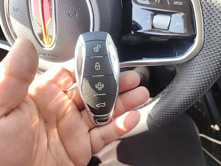 Фото 9 - Hongqi HS7 Hybrid