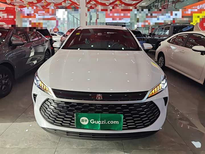 Фото 3 - BYD Qin Plus