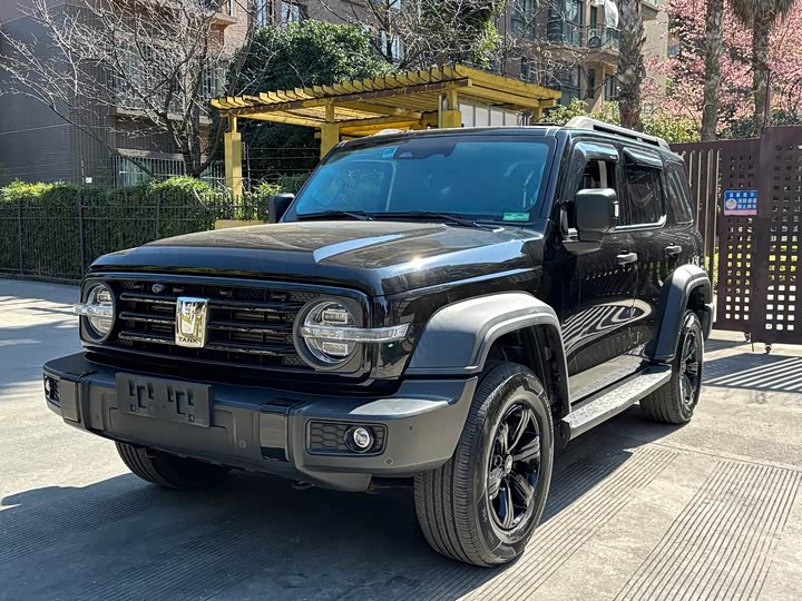 Фото 1 - Tank 300