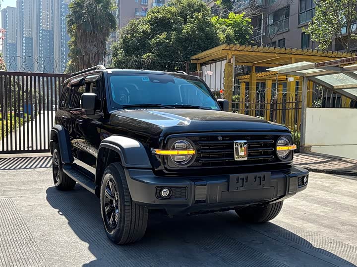 Фото 3 - Tank 300