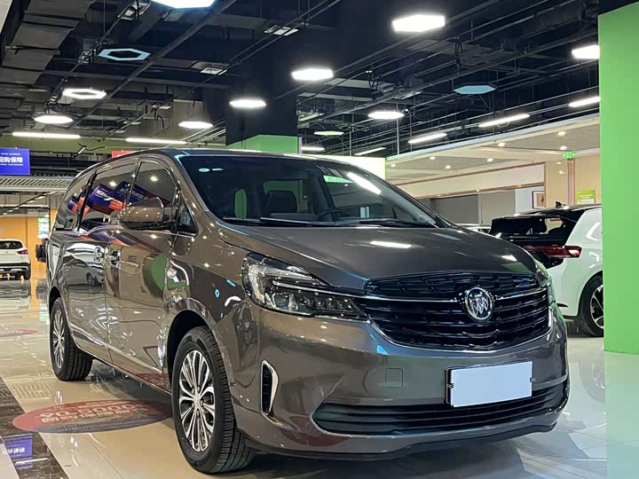 Фото 1 - Buick GL8 ES