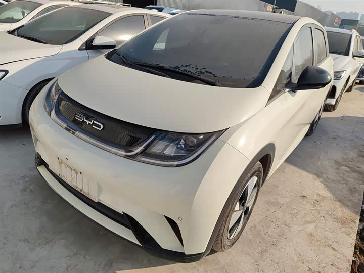 Фото 1 - BYD Dolphin