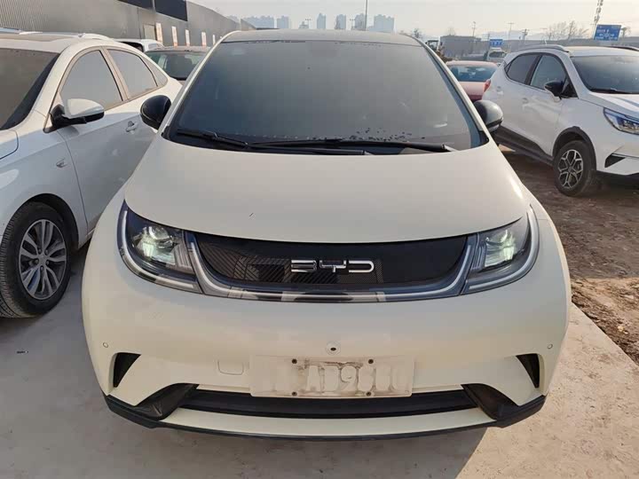 Фото 3 - BYD Dolphin