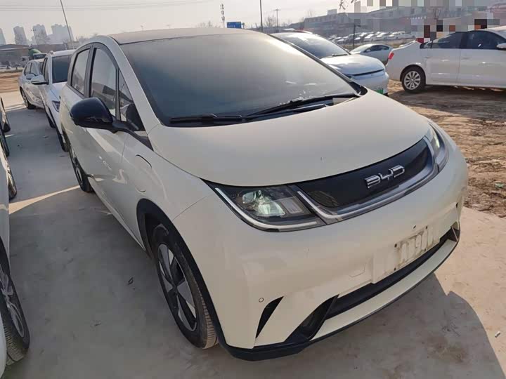 Фото 4 - BYD Dolphin