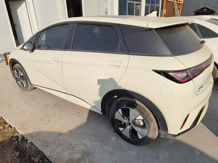 Фото 5 - BYD Dolphin