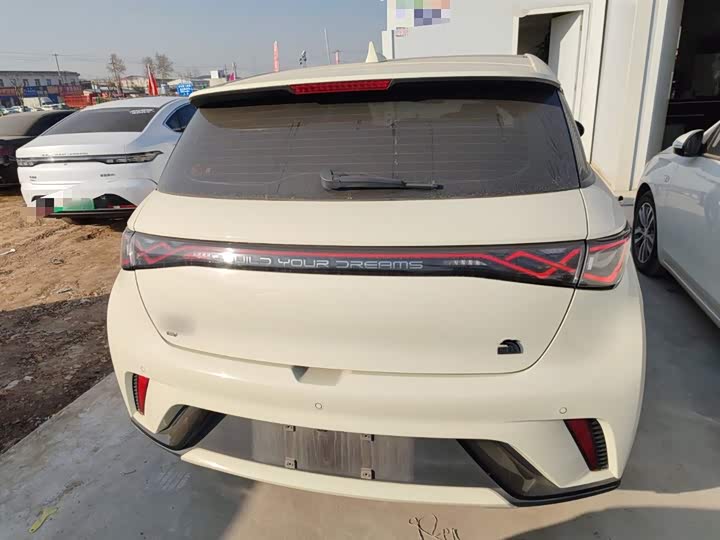 Фото 6 - BYD Dolphin