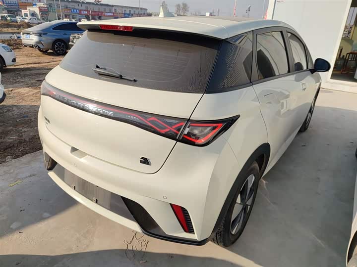 Фото 7 - BYD Dolphin