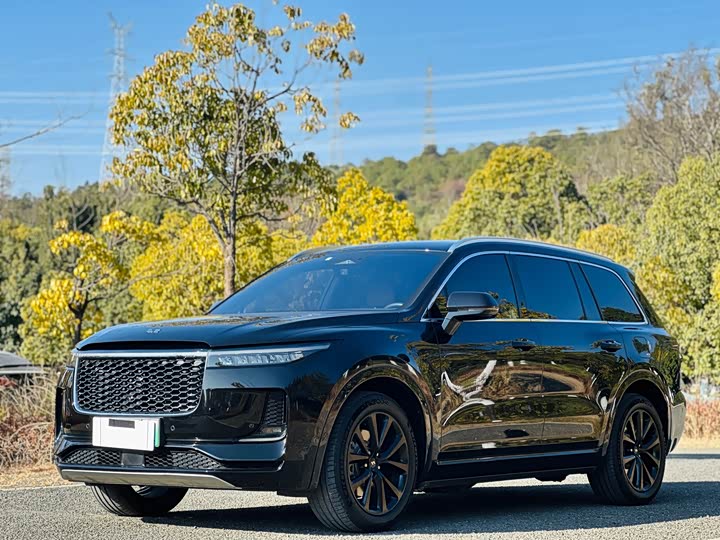 Фото 1 - LiXiang One