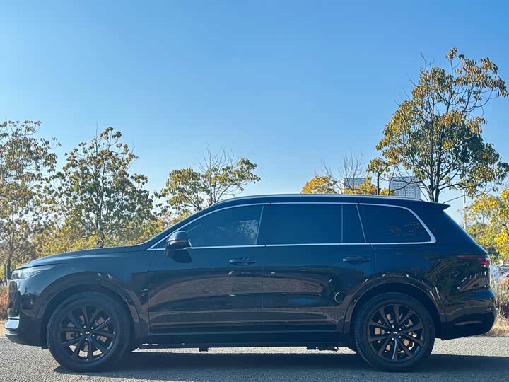 Фото 5 - LiXiang One