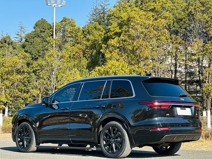 Фото 7 - LiXiang One