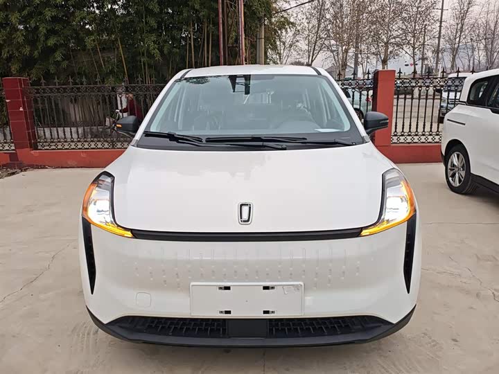 Фото 3 - Bestune NAT